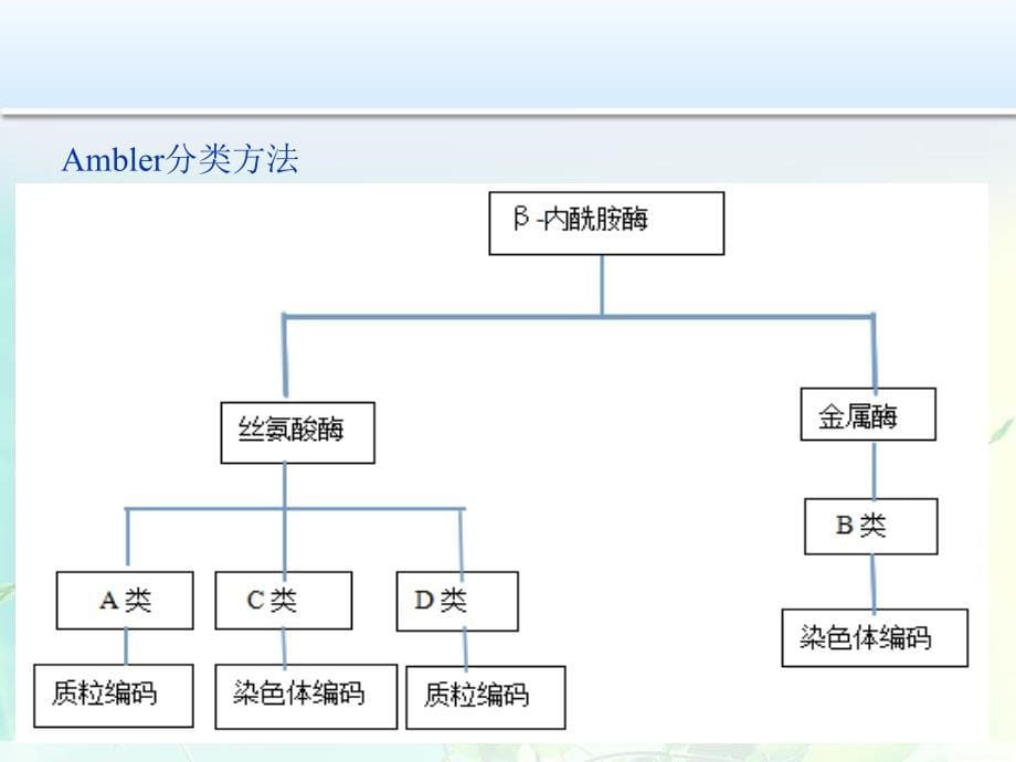 β内酰胺酶抑制剂复合制剂_第5页