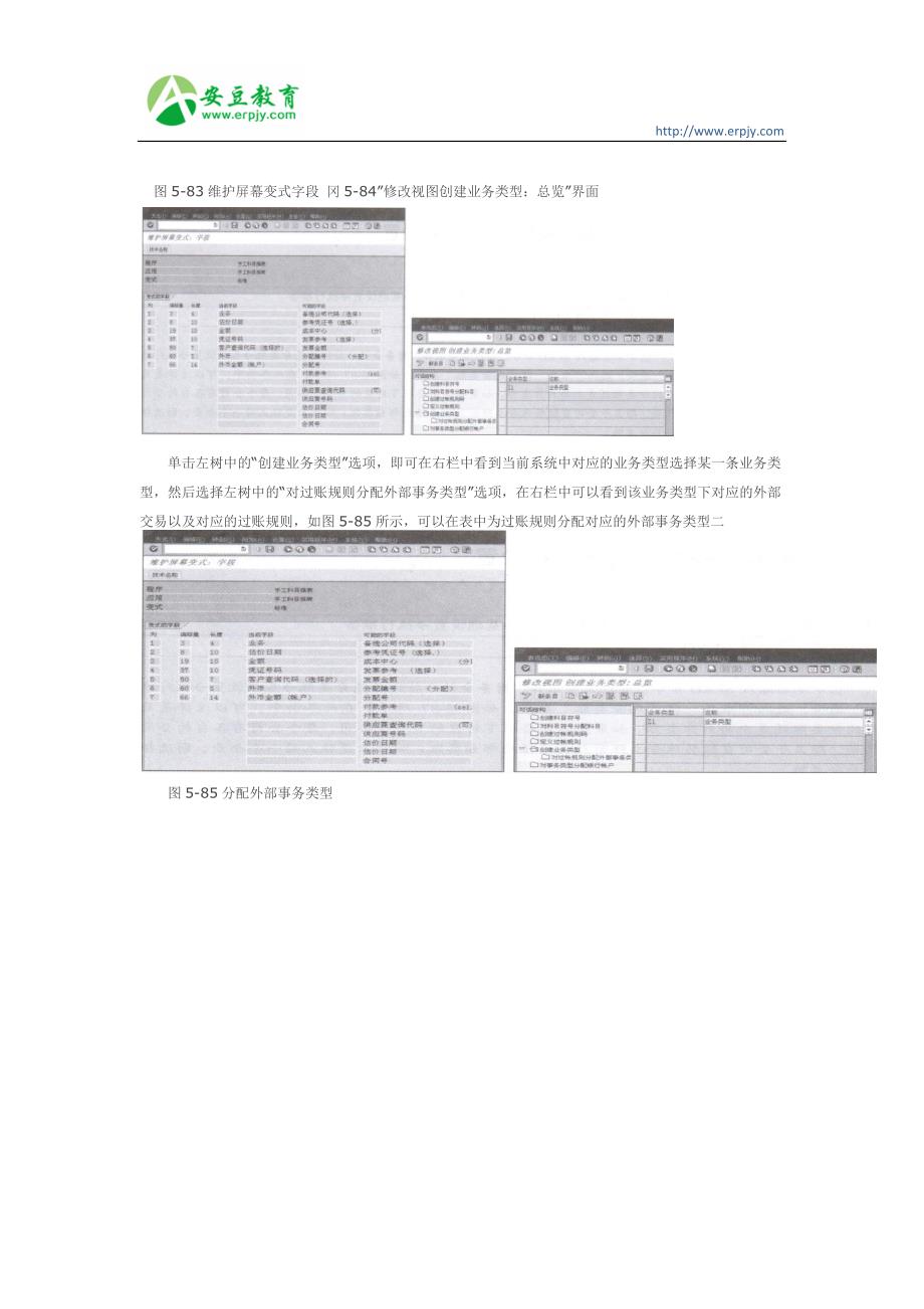 SAP分配外部事务类型_第1页