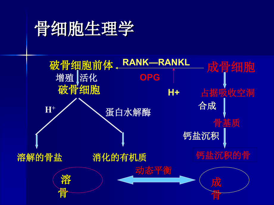 肺癌骨转移治疗_第3页