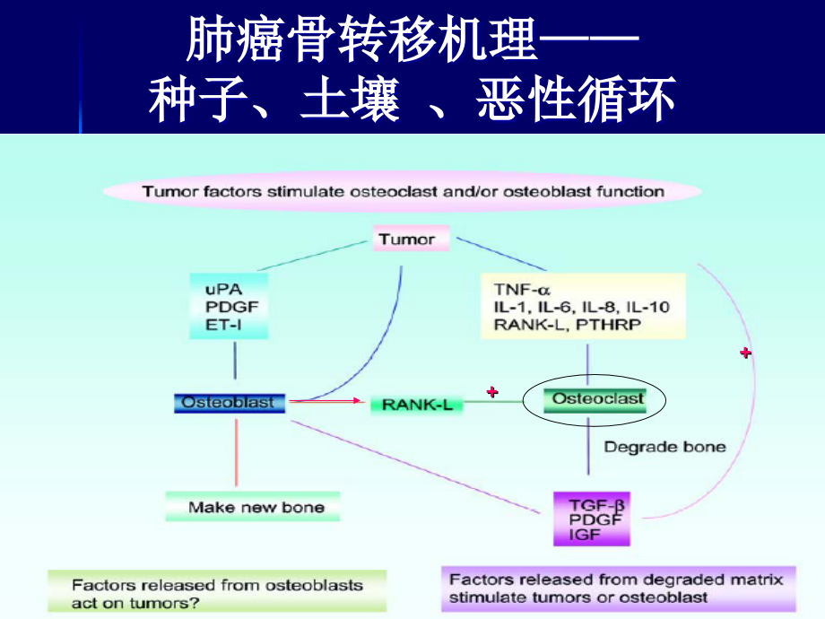 肺癌骨转移治疗_第4页