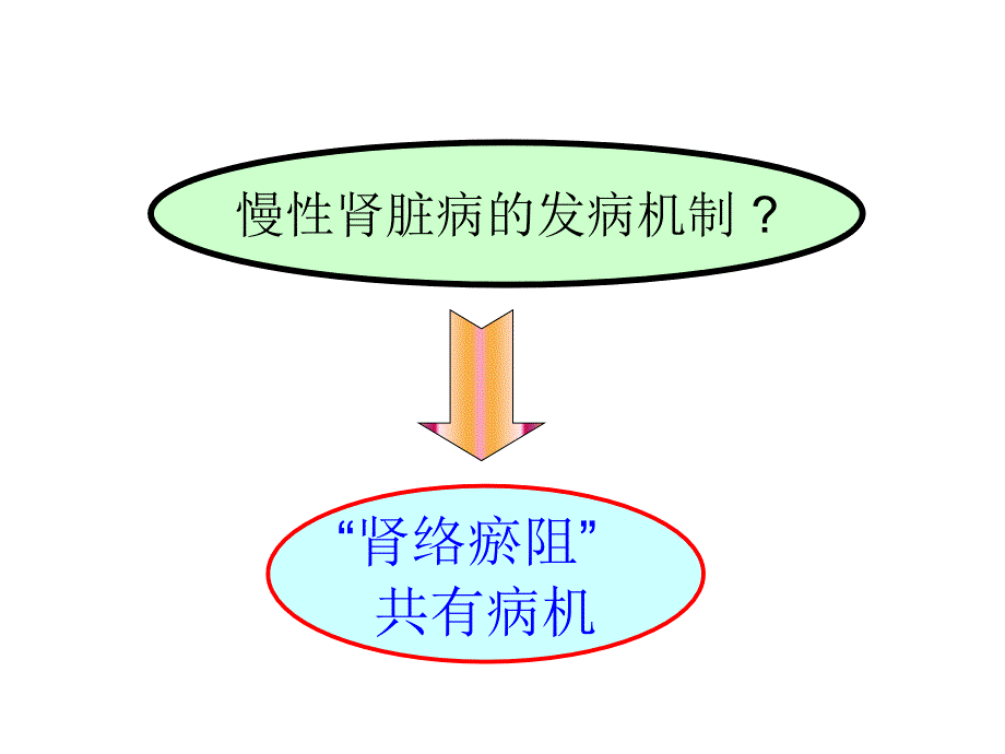 赵玉庸肾络瘀阻病机学说_第2页