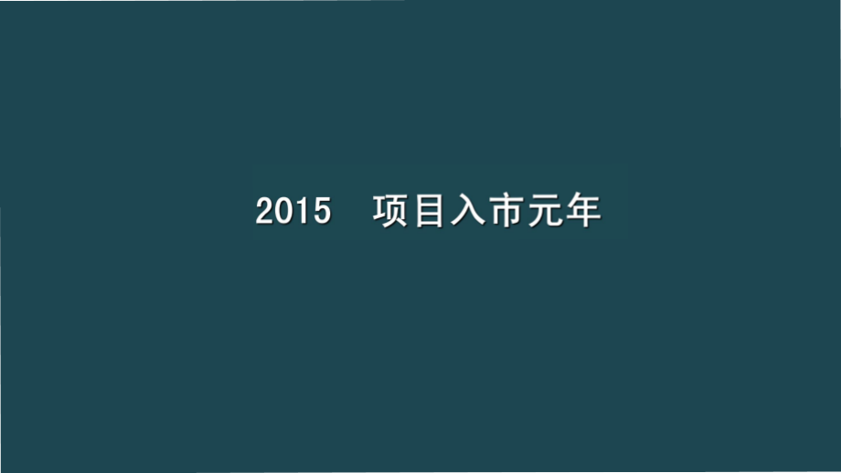 里里互动-保利叁仟栋2016年整合推广方案_第2页