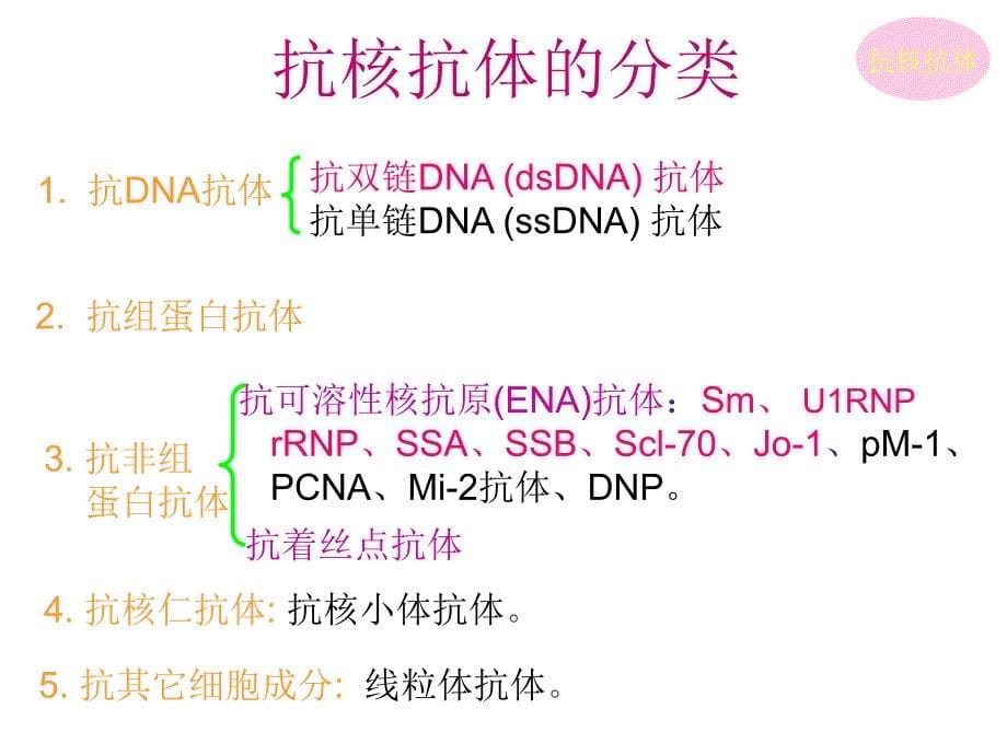 急诊：自身抗体的临床应用_第5页