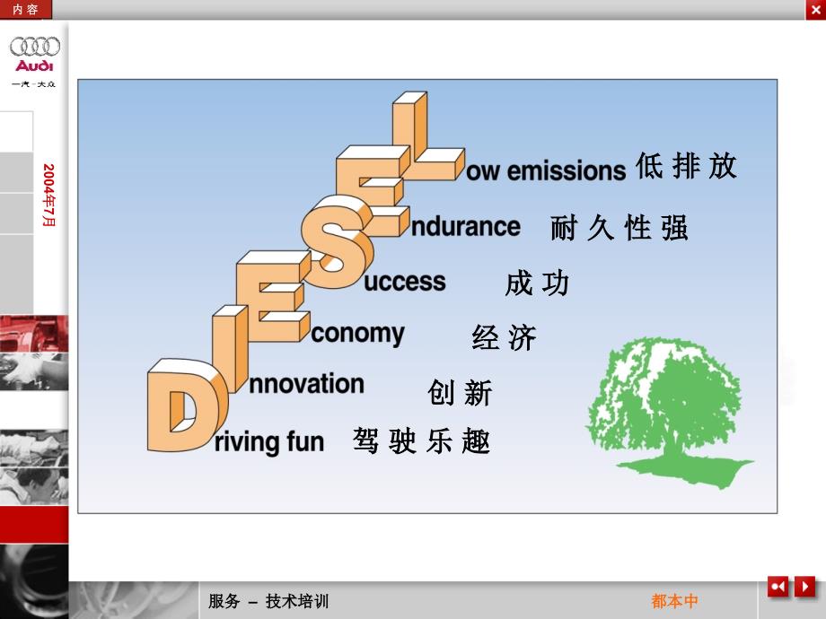 奥迪TDI发动机培训教案_第4页