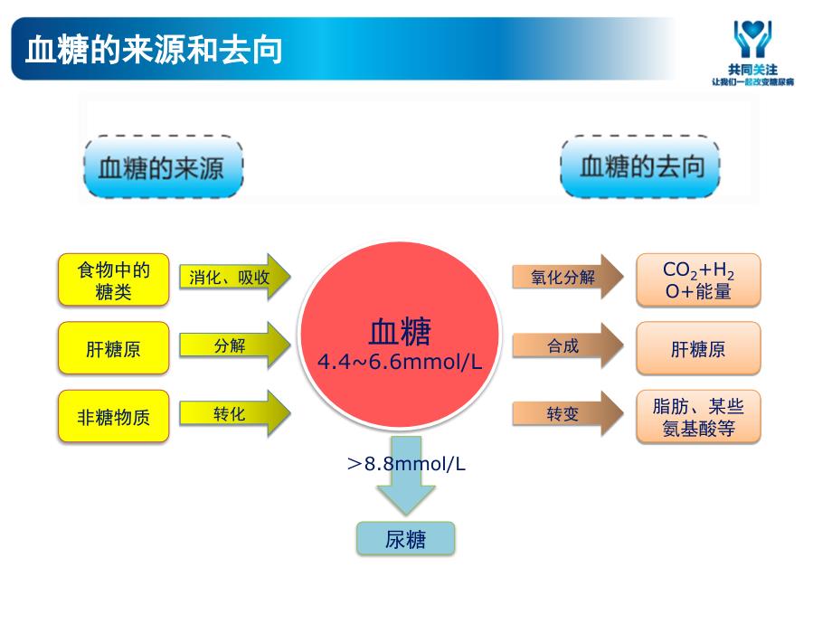 糖尿病教育之教育_第4页