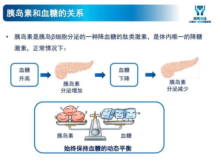 糖尿病教育之教育_第5页