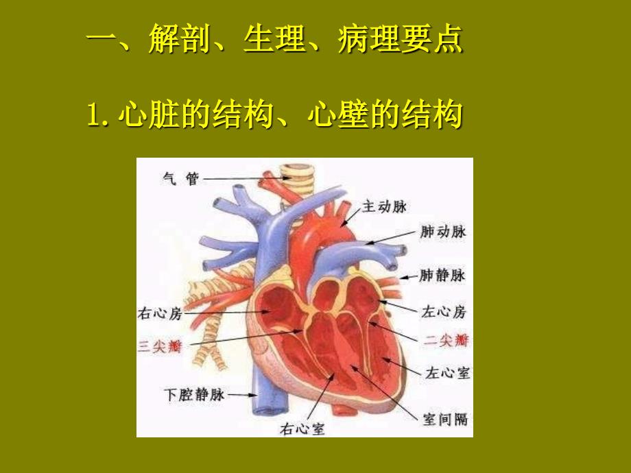 循环系统疾病病人护理_第3页