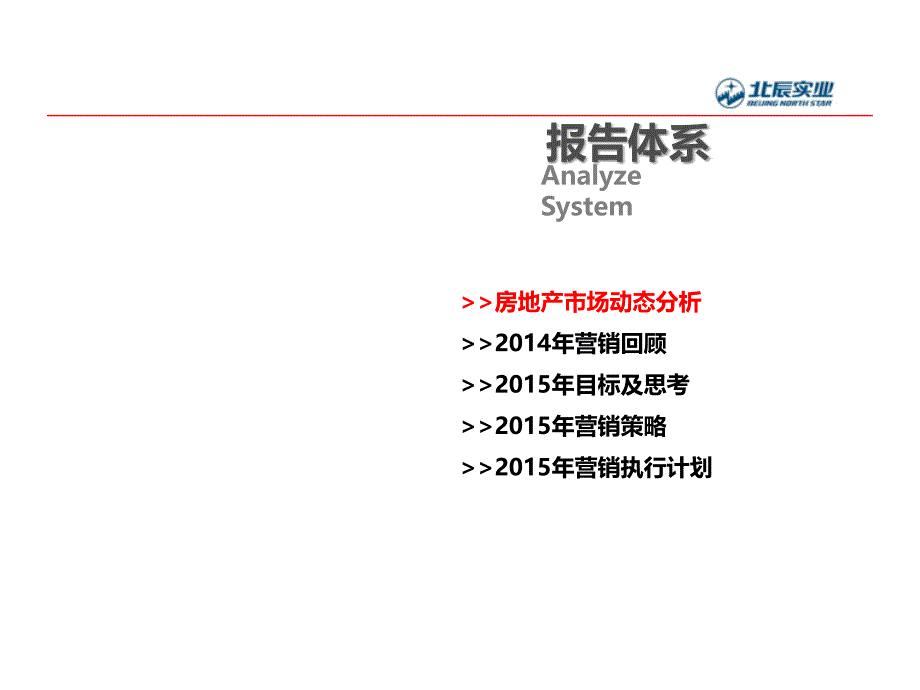 北辰年度方案_第3页