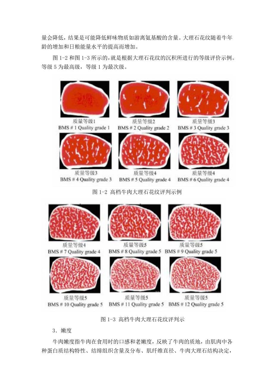 高档牛肉的评判标准_第2页