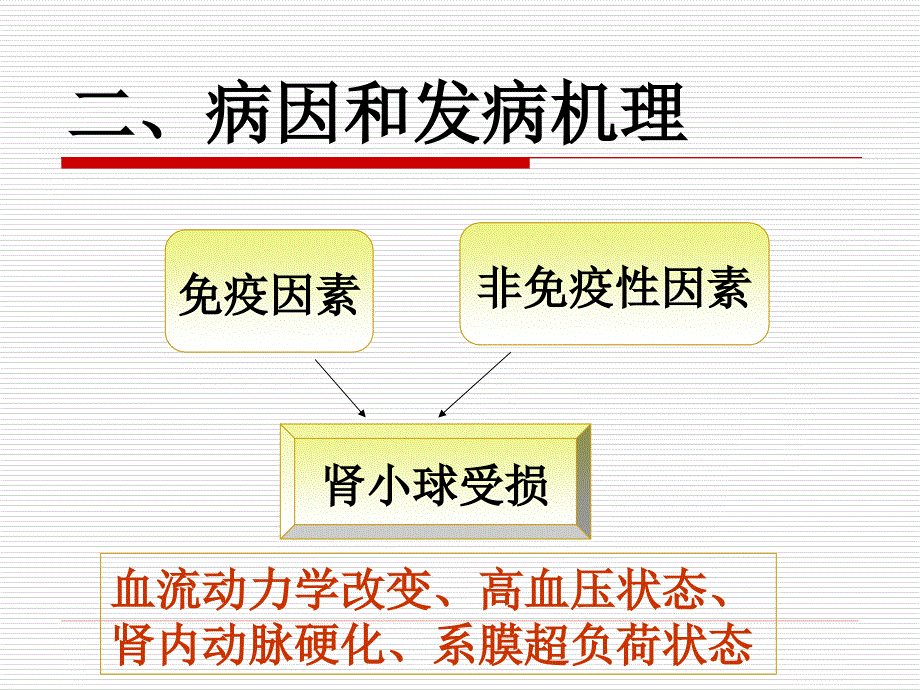 慢性肾小球肾炎_第4页