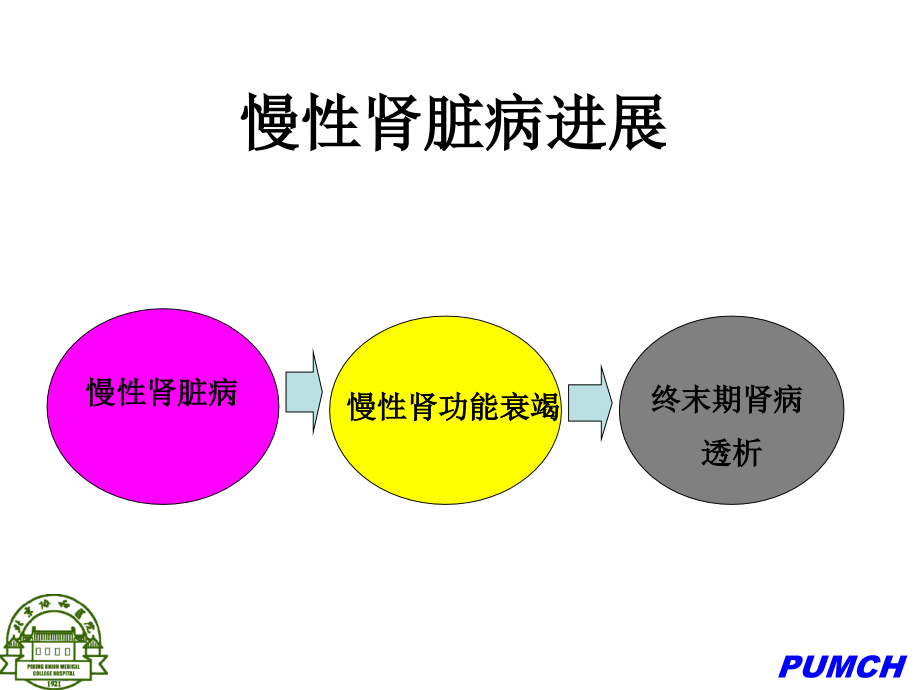 延缓慢性肾脏疾病患者的进展_第2页