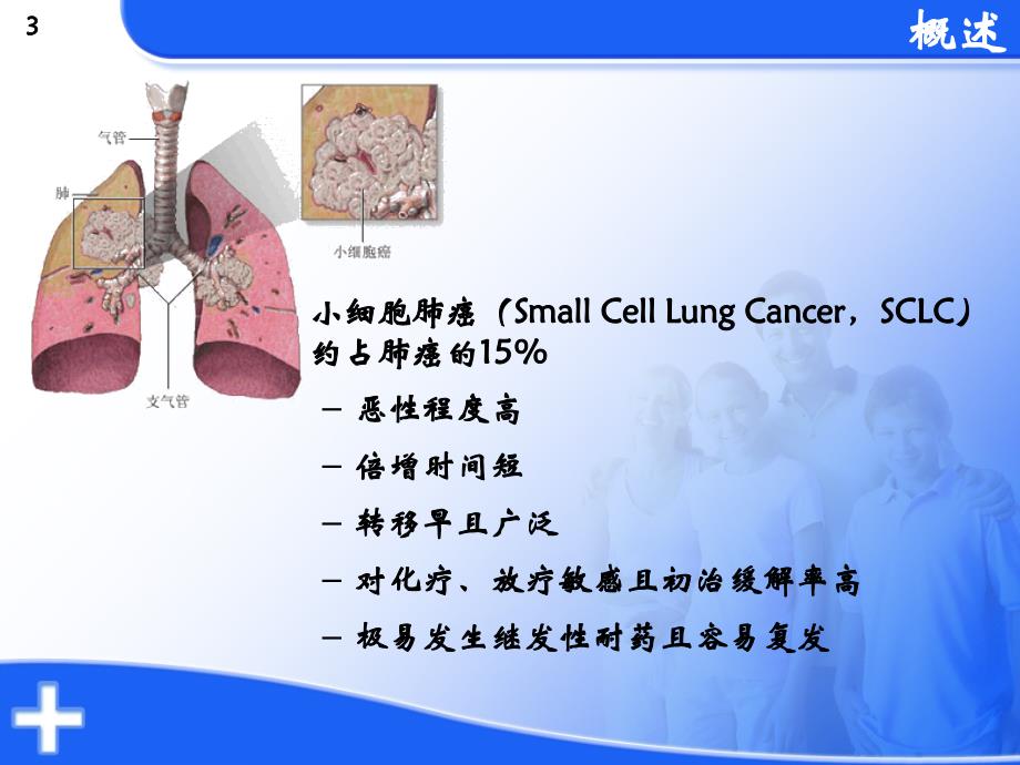 小细胞肺癌一线化疗_第3页