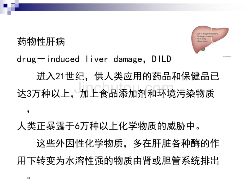 药物性肝病发病机制及诊治_第2页