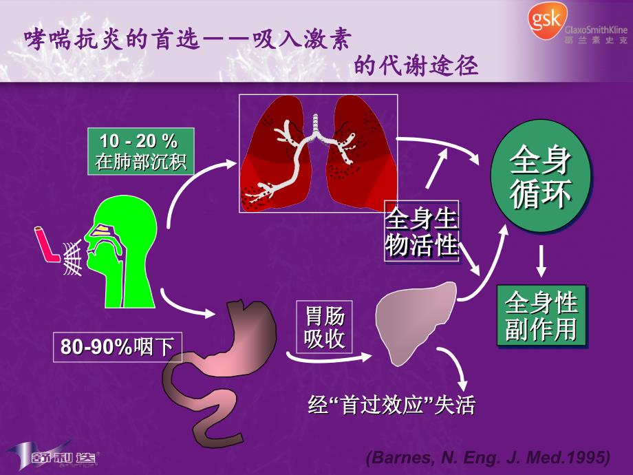 哮喘的治疗与管理陈文彬_第3页