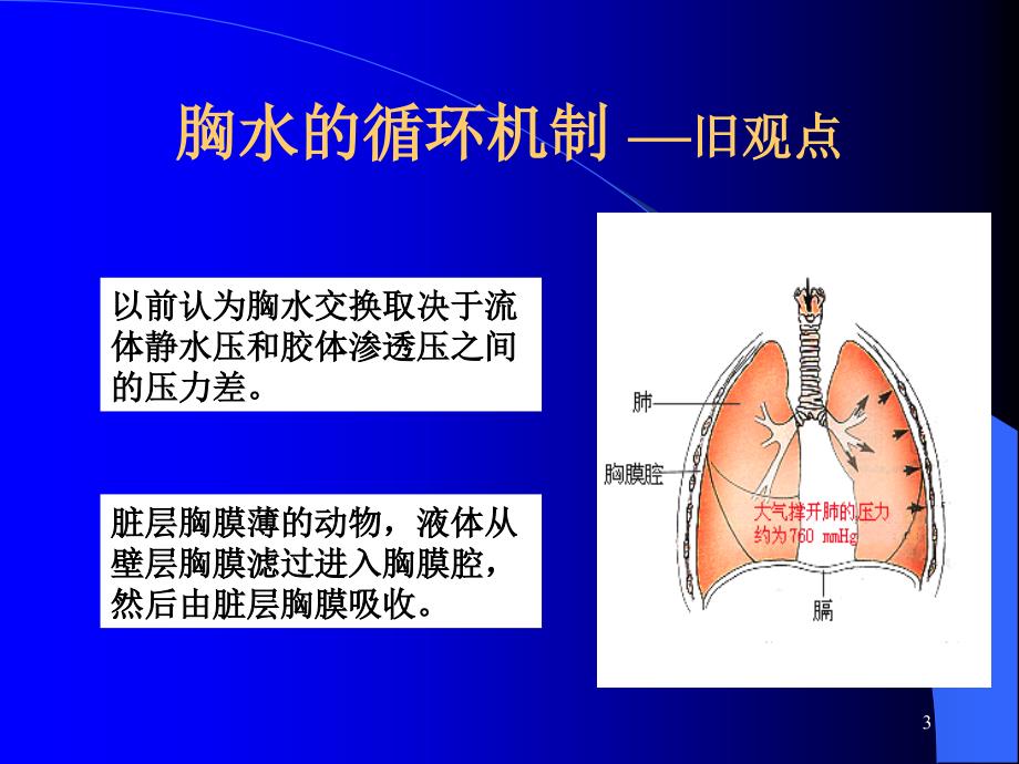 胸腔积液的诊断和鉴别诊断及结核性胸膜炎的治疗科室讲座_第3页