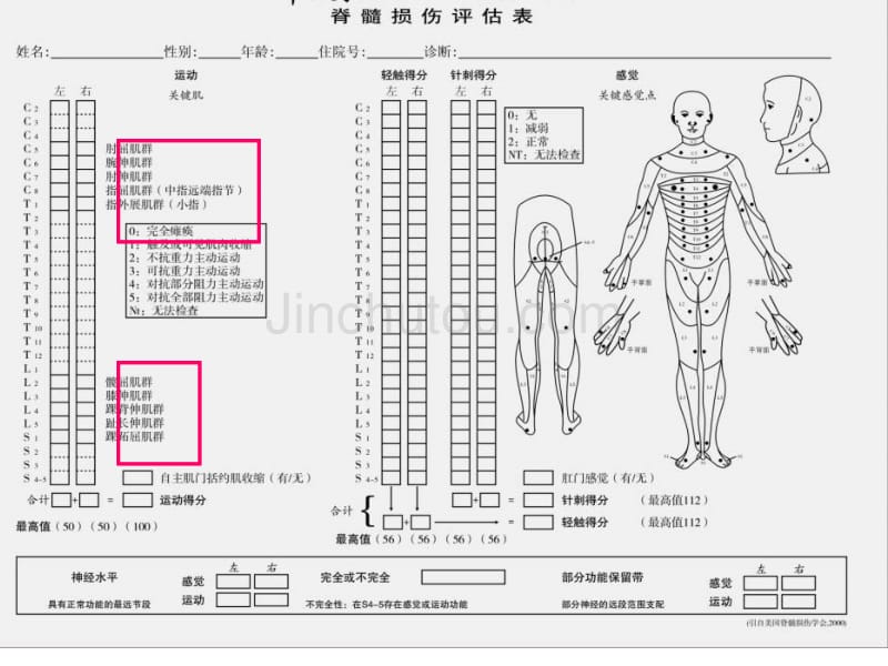 脊髓损伤的康复治疗_第5页