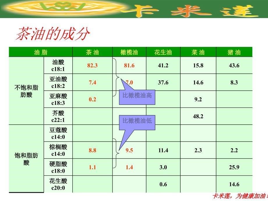 卡米莲商业计划_第5页