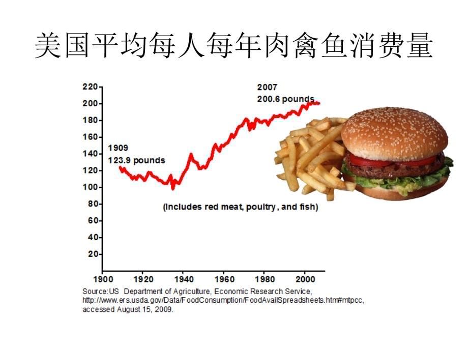 老年人健康与膳食运动_第5页