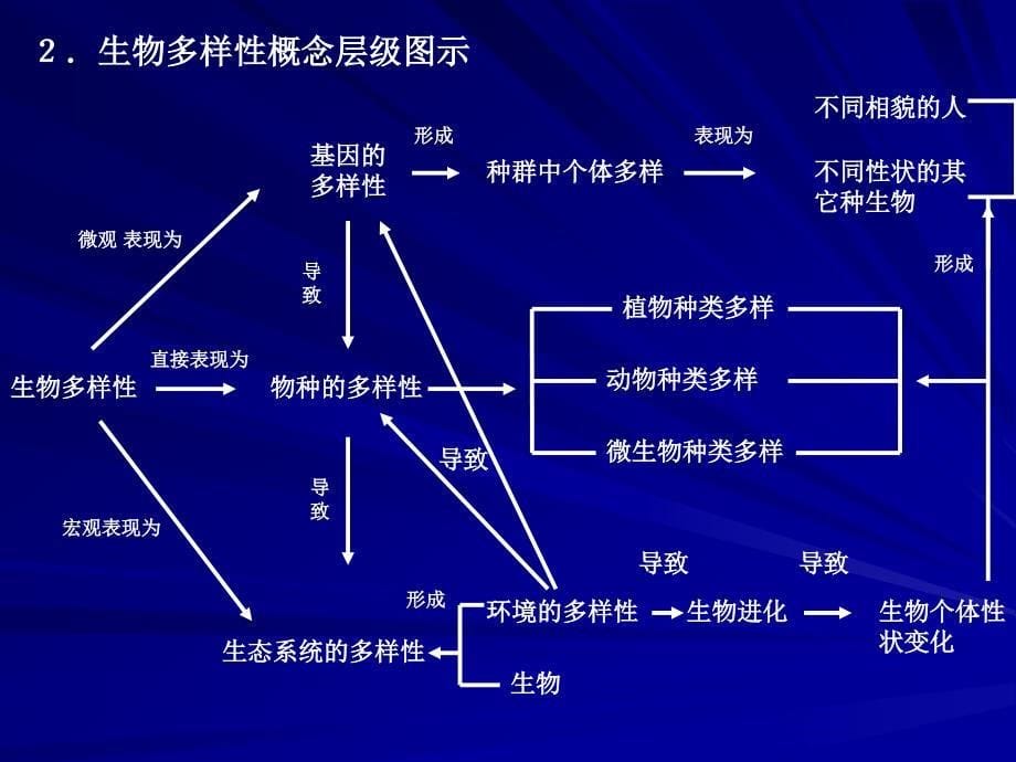 初中生物课件《生物的多样性》_第5页