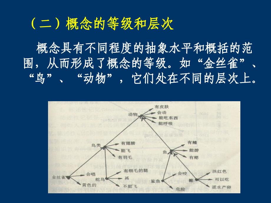 幼儿概念的发展_第4页