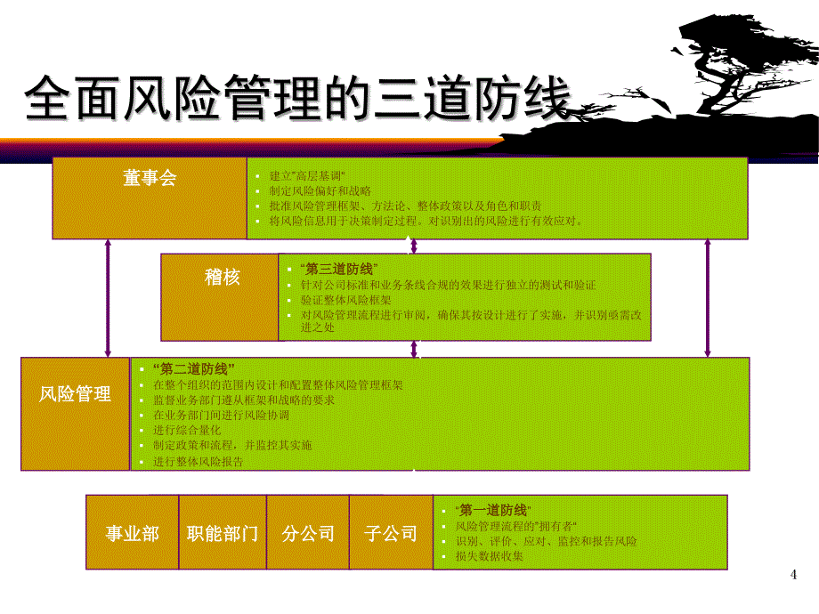 泰康风险管理实践_第4页