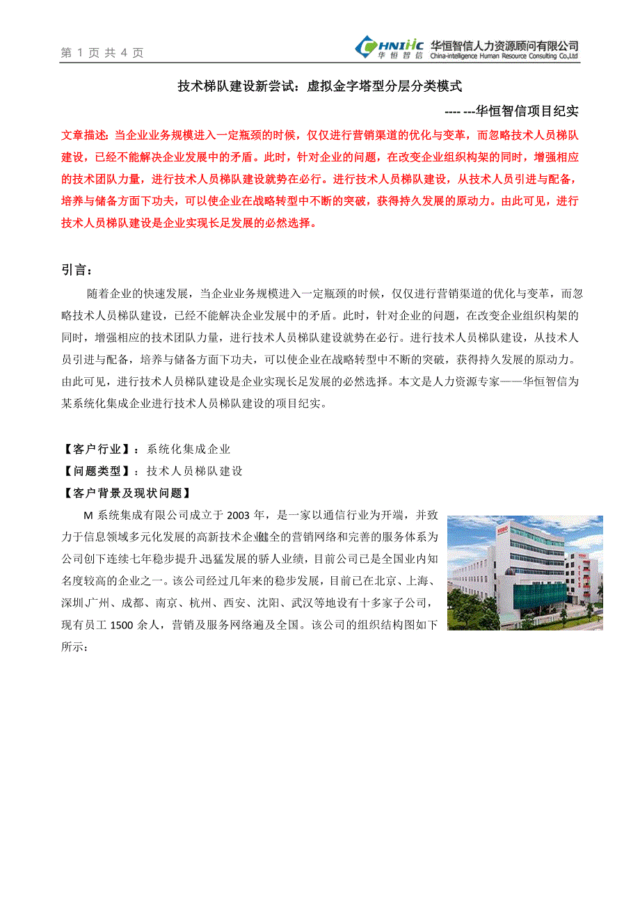 技术梯队建设新尝试：虚拟金字塔型分层分类模式_第1页