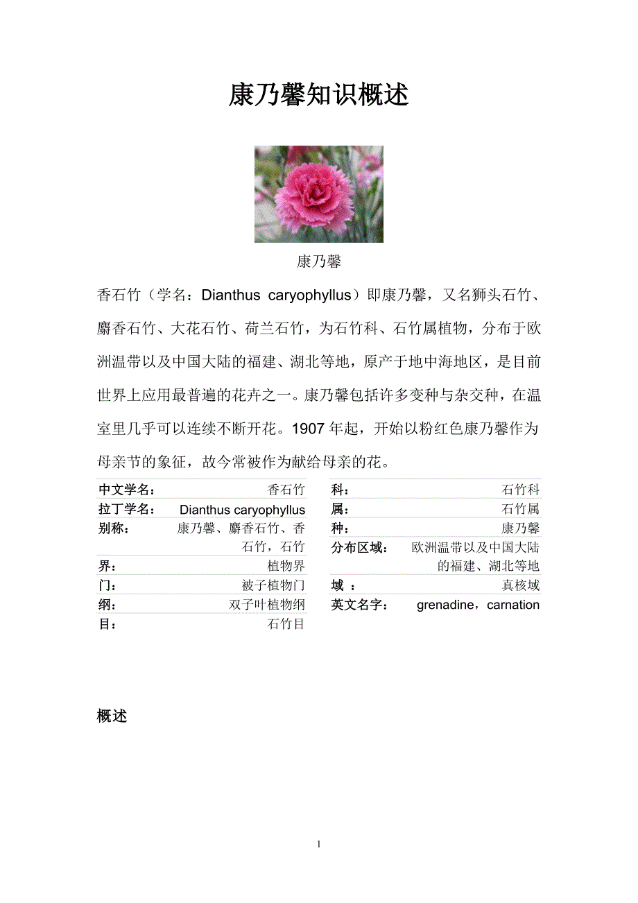 康乃馨知识概述_第1页
