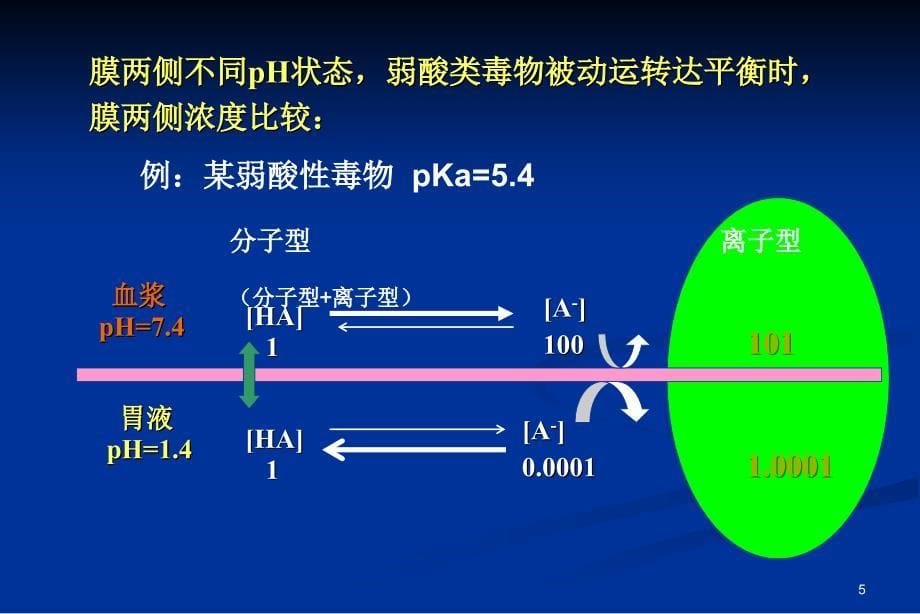 毒理学—毒物代谢动力学_第5页