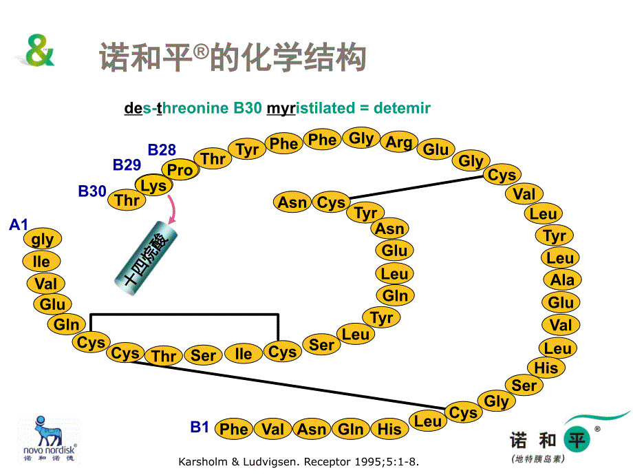 诺和平的结构和药代学特点_第3页