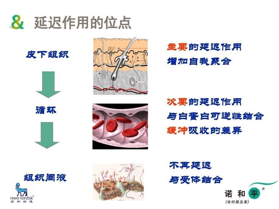 诺和平的结构和药代学特点_第5页