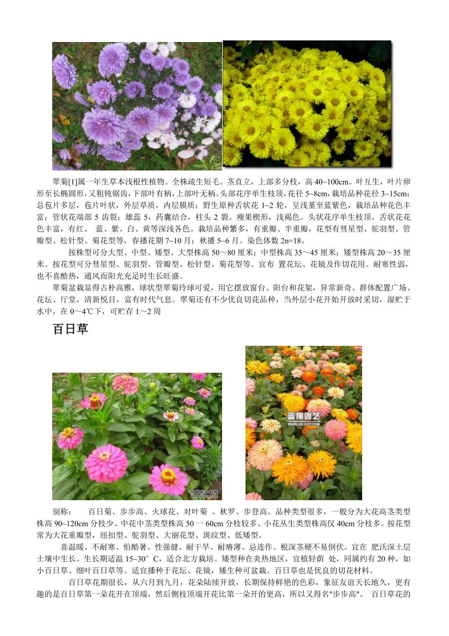 上海地区常见时令花卉_第3页