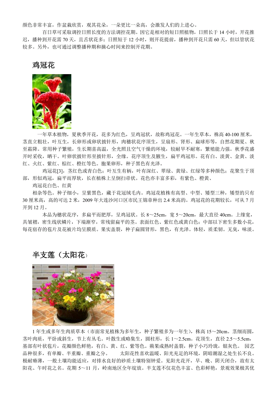 上海地区常见时令花卉_第4页