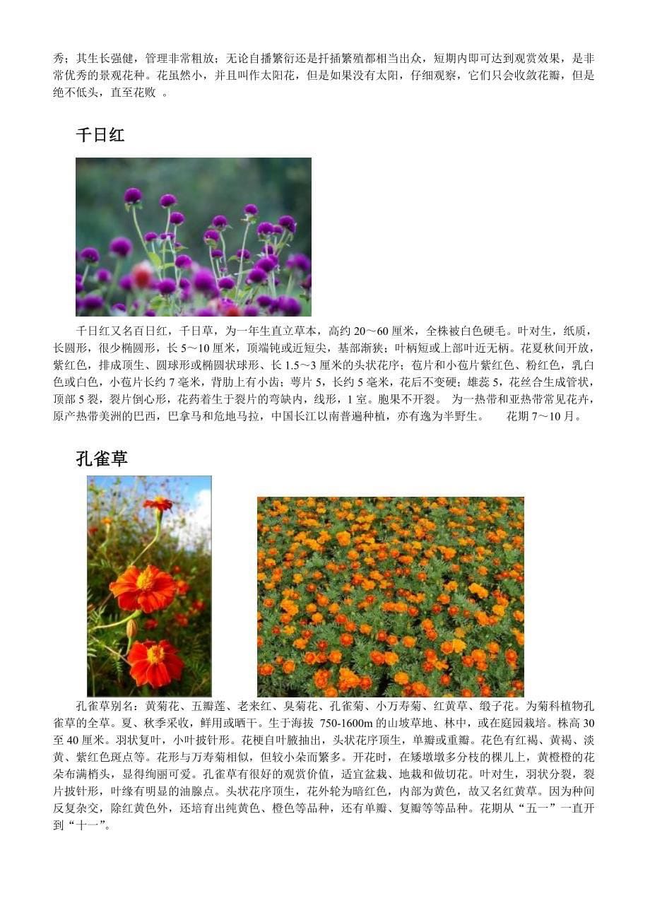 上海地区常见时令花卉_第5页