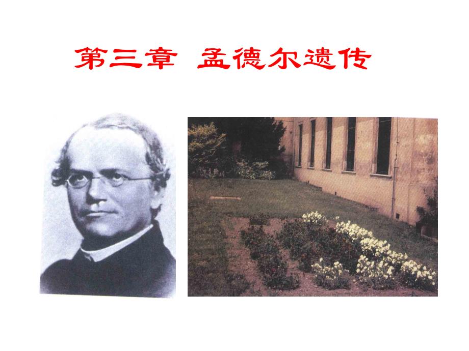 遗传学 第三章孟德尔遗传和独立分配定律_第1页