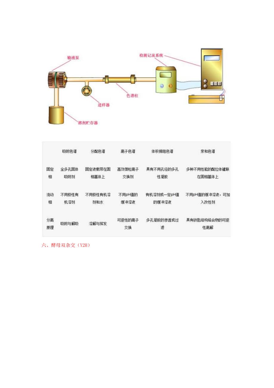 分子生物学常用实验方法原理介绍_第3页