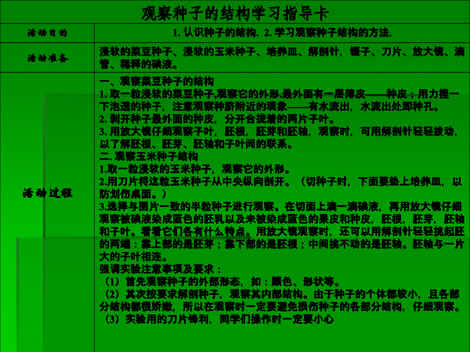 青岛版小学科学五年级下册《种子发芽了》课件_第3页