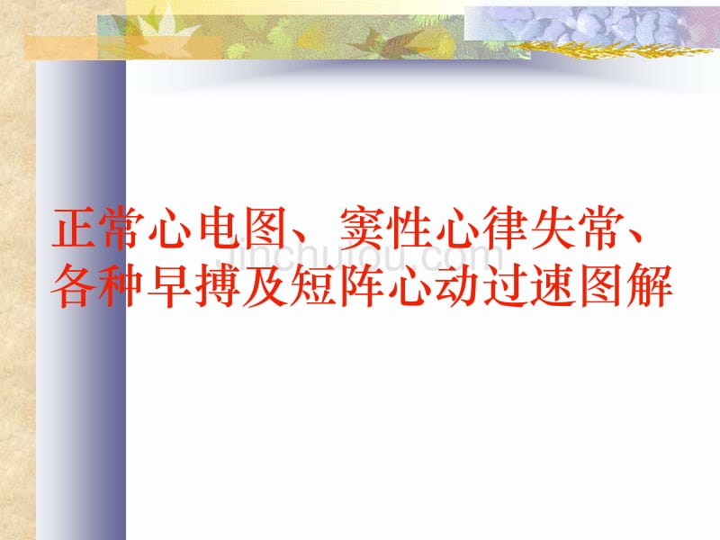 常见心电图诊断-实习生进修生教案之二_第3页