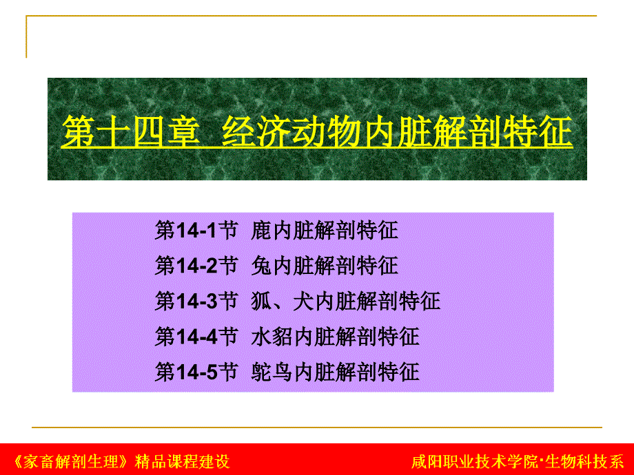 第十四章 经济动物内脏解剖特征_第1页