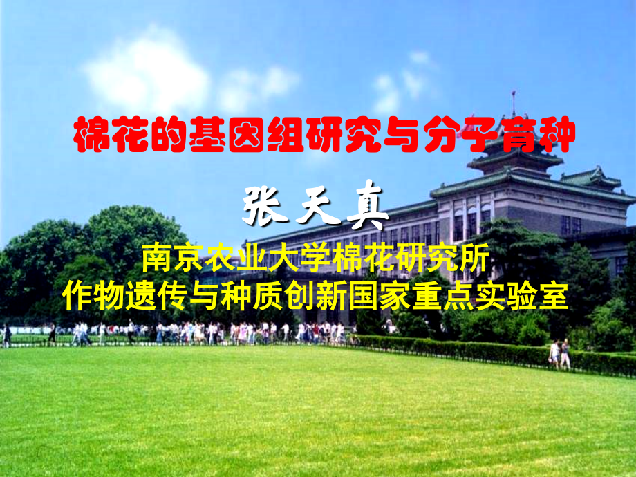 棉花的基因组研究与分子育种.张天真_第1页