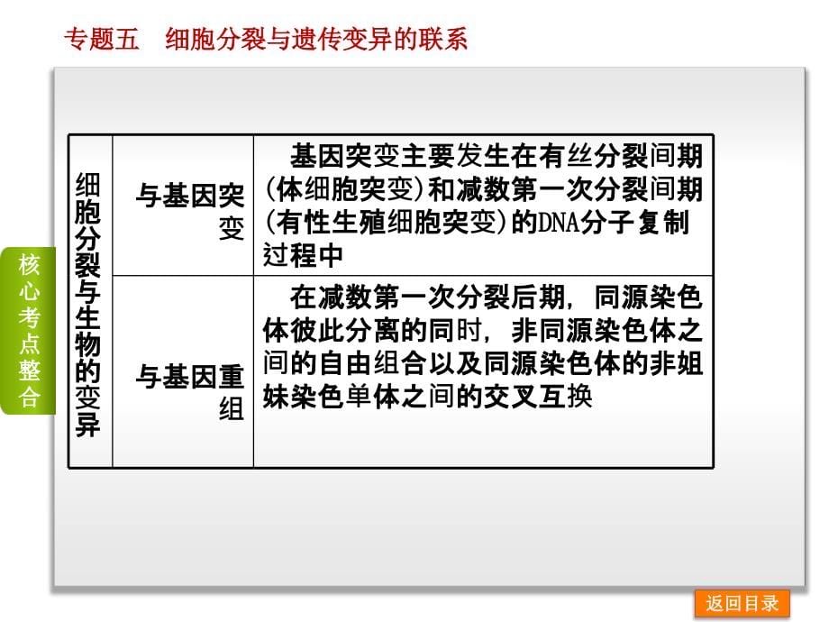 2014届高考生物二轮专题复习第3单元生命系统的繁殖基础_第5页