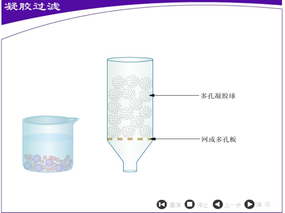 《血红蛋白的提取和分离》_第4页