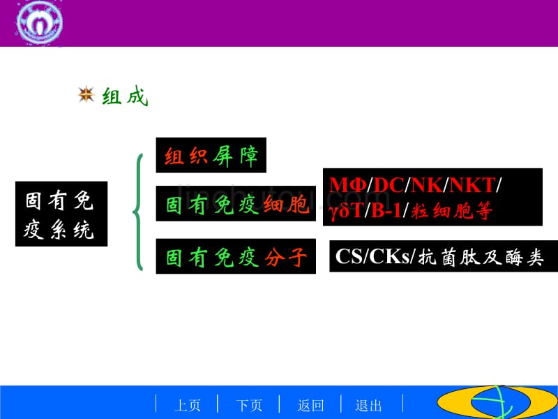 ++固有免疫系统及其应答11上_第5页