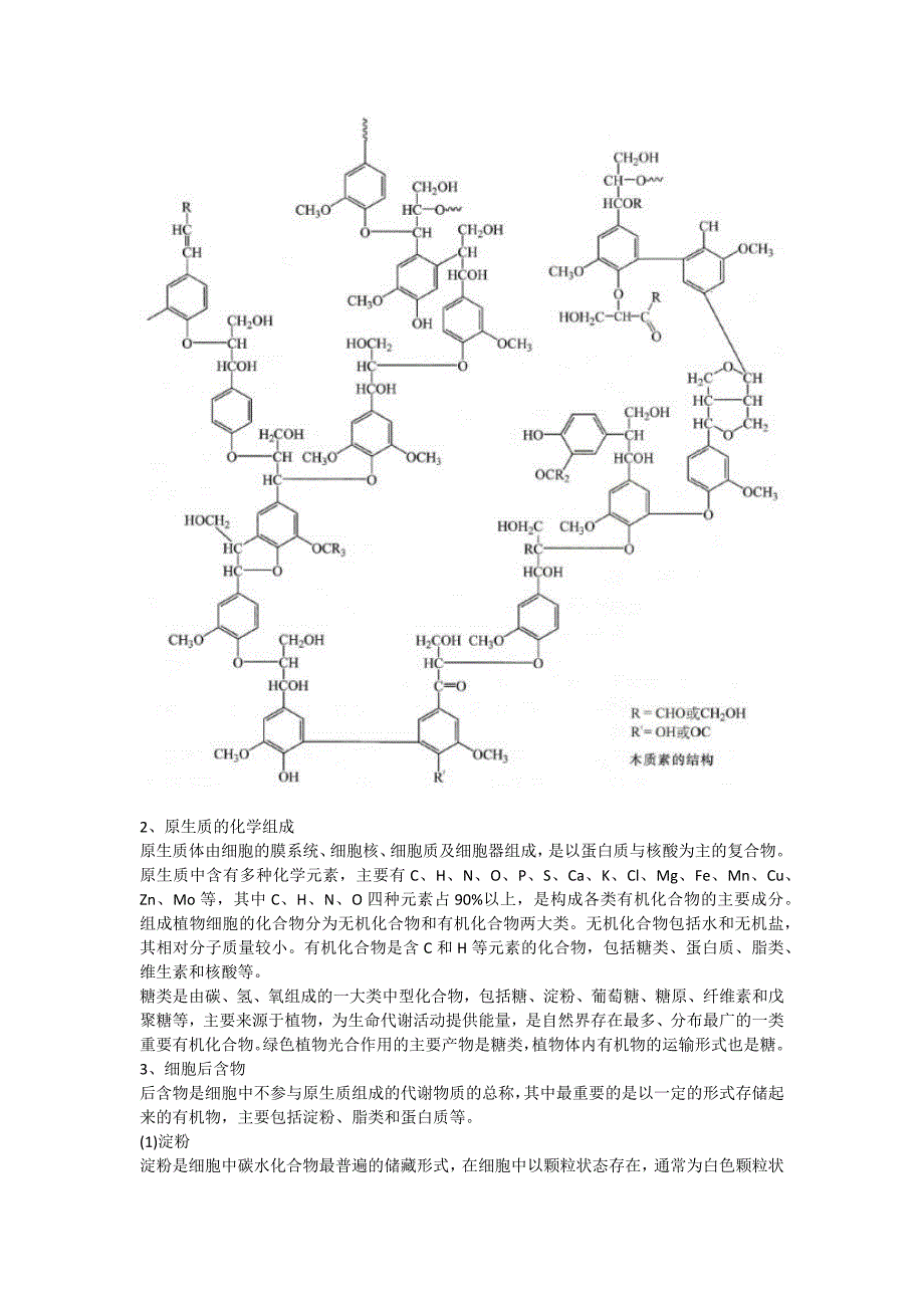 第5章生物质能转化的物理和热化学方法_第3页