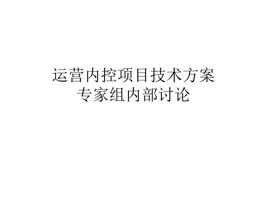 运营内控项目技术 专家组内部讨论_第1页