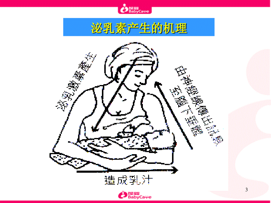 学习母乳喂养_第3页