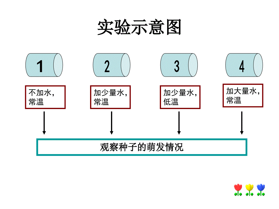 七年级生物种子的萌发4_第4页