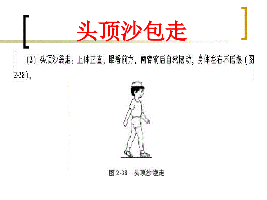 小学体育课件：《各种方式走》_第4页