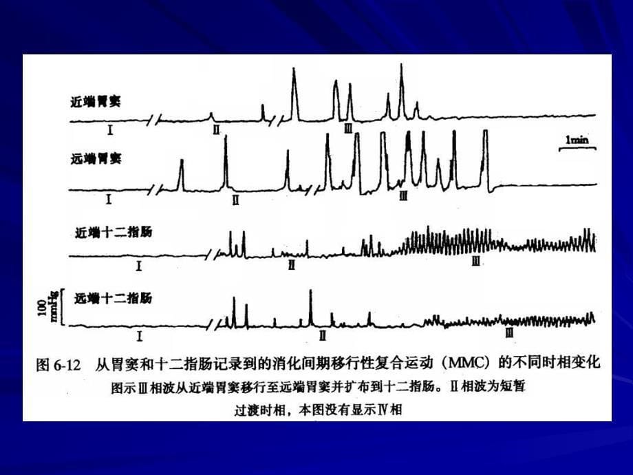 或迷走-迷走反射加强胃_第5页