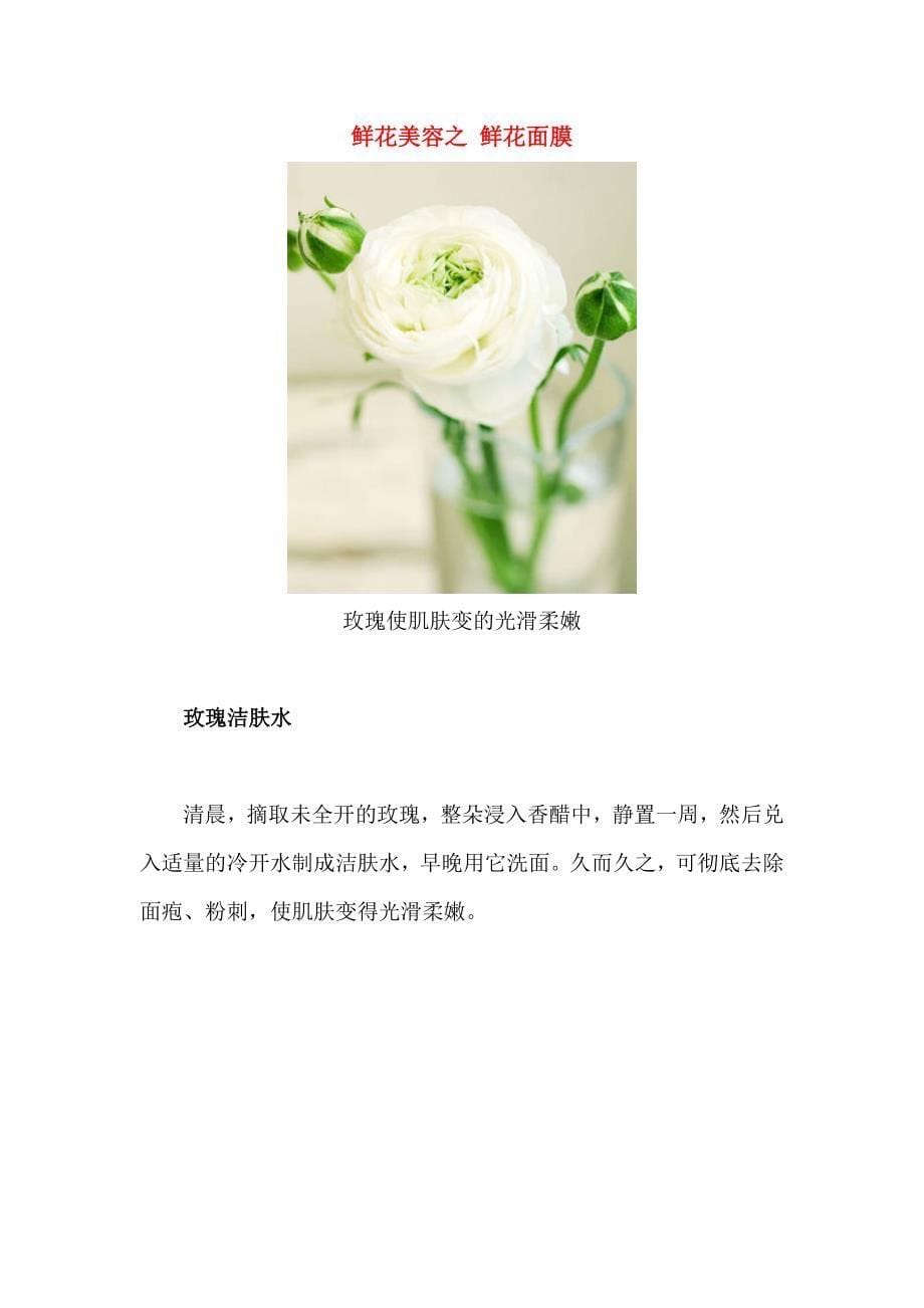 鲜花美容大法_第5页