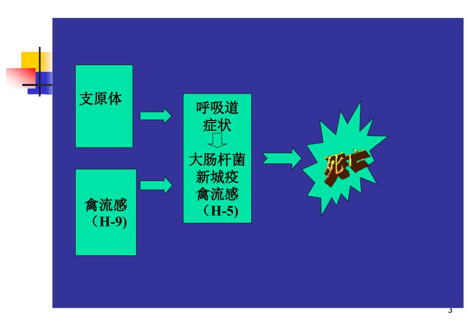 鸡呼吸道病综合症_第3页